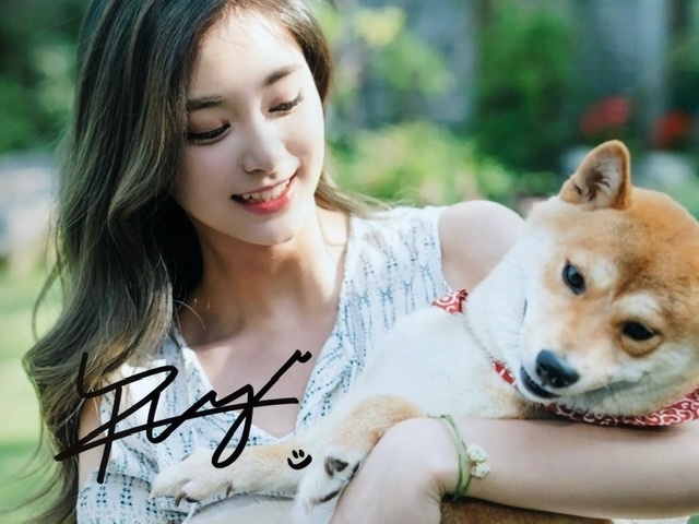 TWICE ツウィ ☆直筆サイン写真(アジアンポップス)｜売買された