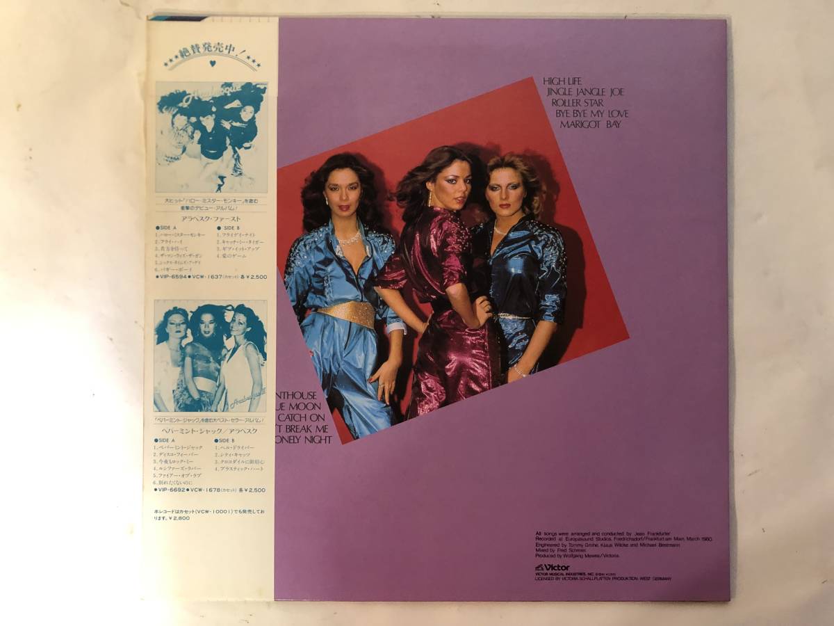 帯 LP・アラベスク 帯付 12セット・ファースト、ハイライフ、さわやか