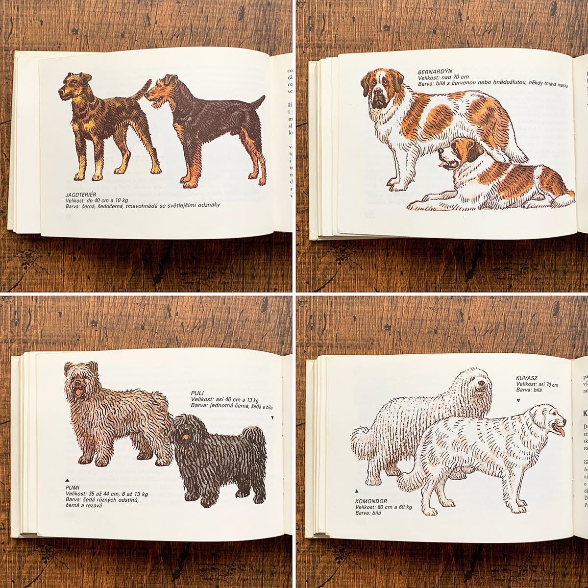 チェコの古い犬の図鑑 Vyberte Si Pejska 1986年 アンティーク ヴィンテージ ヨーロッパ 洋書 犬のイラスト 犬図鑑 犬の絵 雰囲気 洋書 売買されたオークション情報 Yahooの商品情報をアーカイブ公開 オークファン Aucfan Com