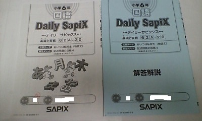 サピックス SAPIX＊デイリー サピックス＊6年 小6＊国語 A
