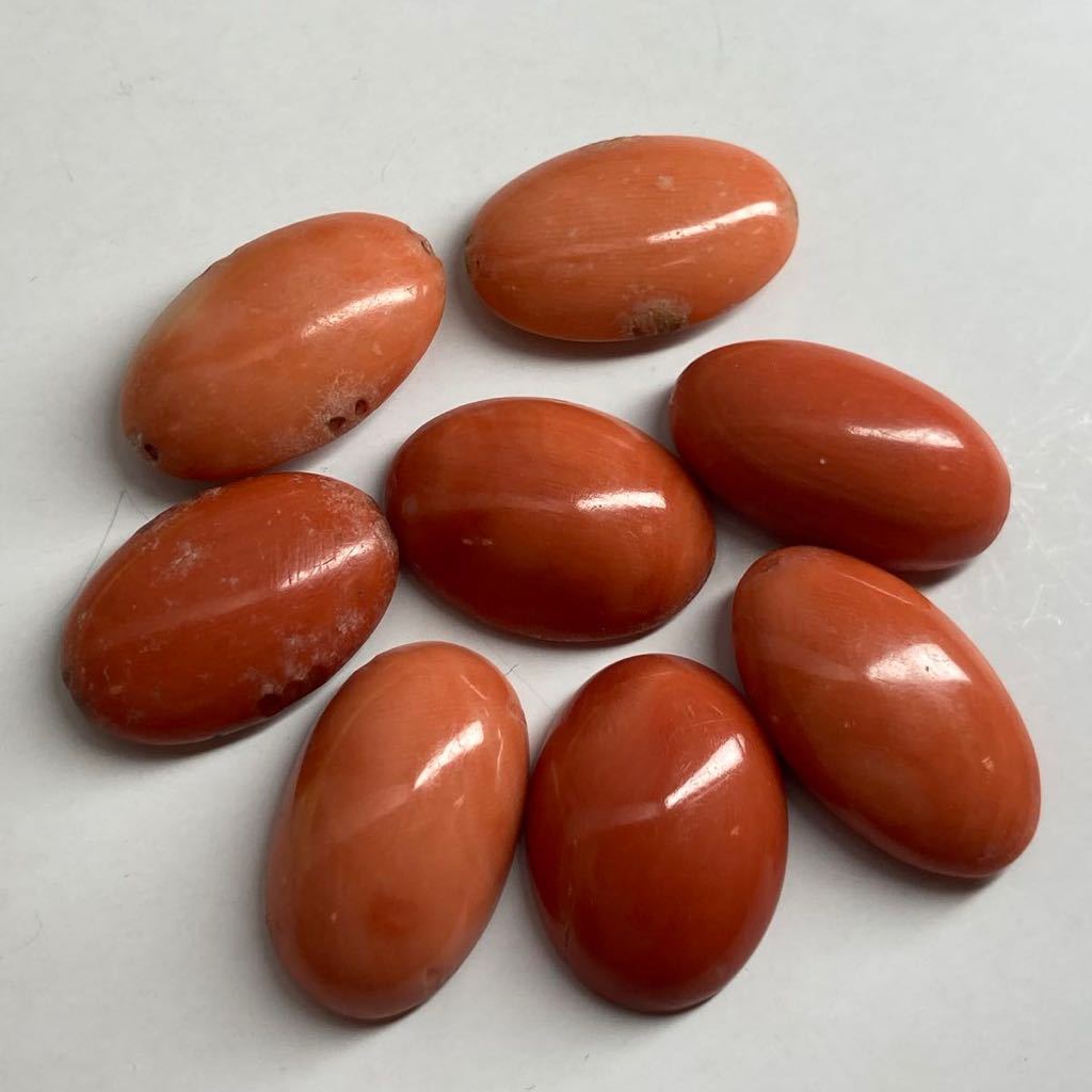 珊瑚 ルース サンゴ 天然本珊瑚8点おまとめ20g］100ct