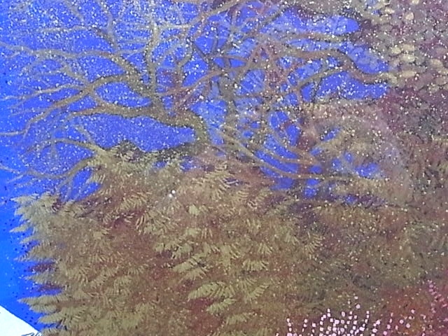 平松礼二『路 星空 (みち ほしぞら)』リトグラフ 150部 直筆サイン落款