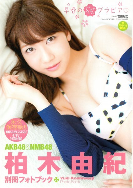 別冊ヤングチャンピオン 2015年4月号 付録写真集・クリアファイル付き