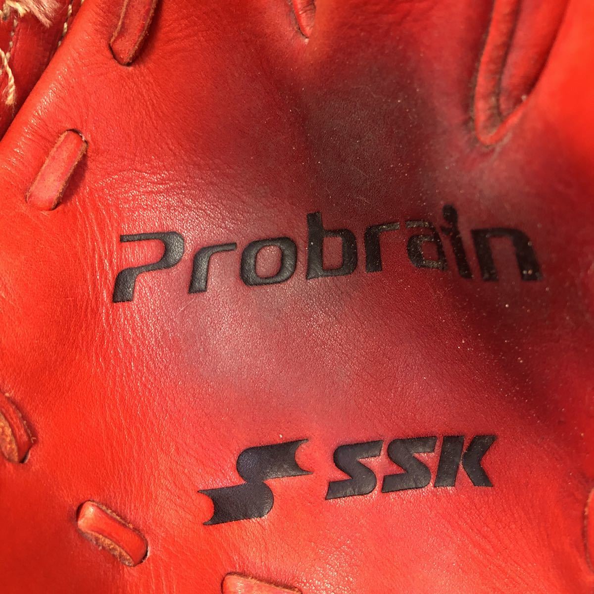 G-8976 エスエスケイ SSK プロブレインProbrain 硬式 投手用 グラブ