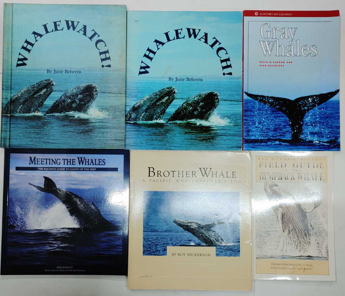 A0122 5 鯨関連8冊まとめセット クジラ 写真集 生態 生物 哺乳類 動物 アニマル 洋書 ディスプレイ 小物 装飾 インテリア 洋書 売買されたオークション情報 Yahooの商品情報をアーカイブ公開 オークファン Aucfan Com