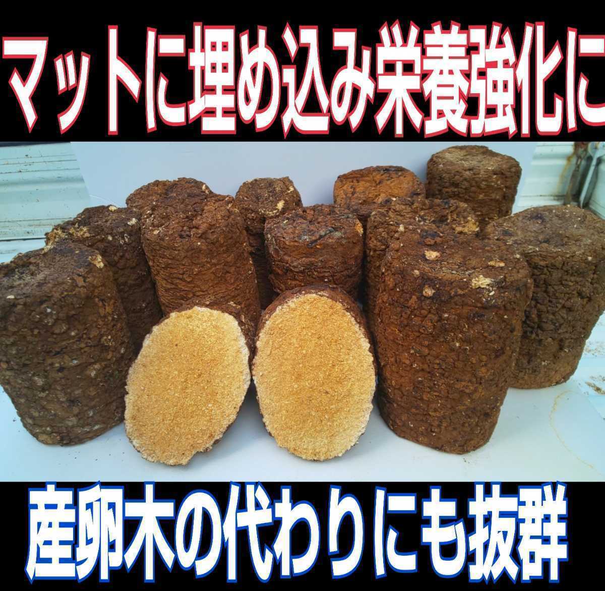 限定セール，100%新品 椎茸廃菌床10ブロック 発酵マットに埋め込み栄養強化 カブト幼虫がサイズアップ クワガタ幼虫の餌 産卵木にも クヌギ100％(マット、床材)｜売買されたオークション情報、yahooの商品情報を マット、床材