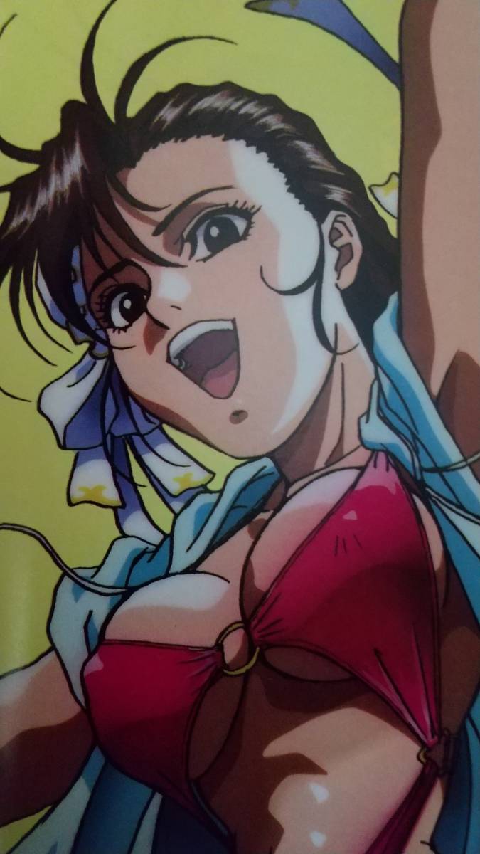 映画 ストリートファイターii 華麗なる 春麗の世界 イラスト集 原画集 売買されたオークション情報 Yahooの商品情報をアーカイブ公開 オークファン Aucfan Com