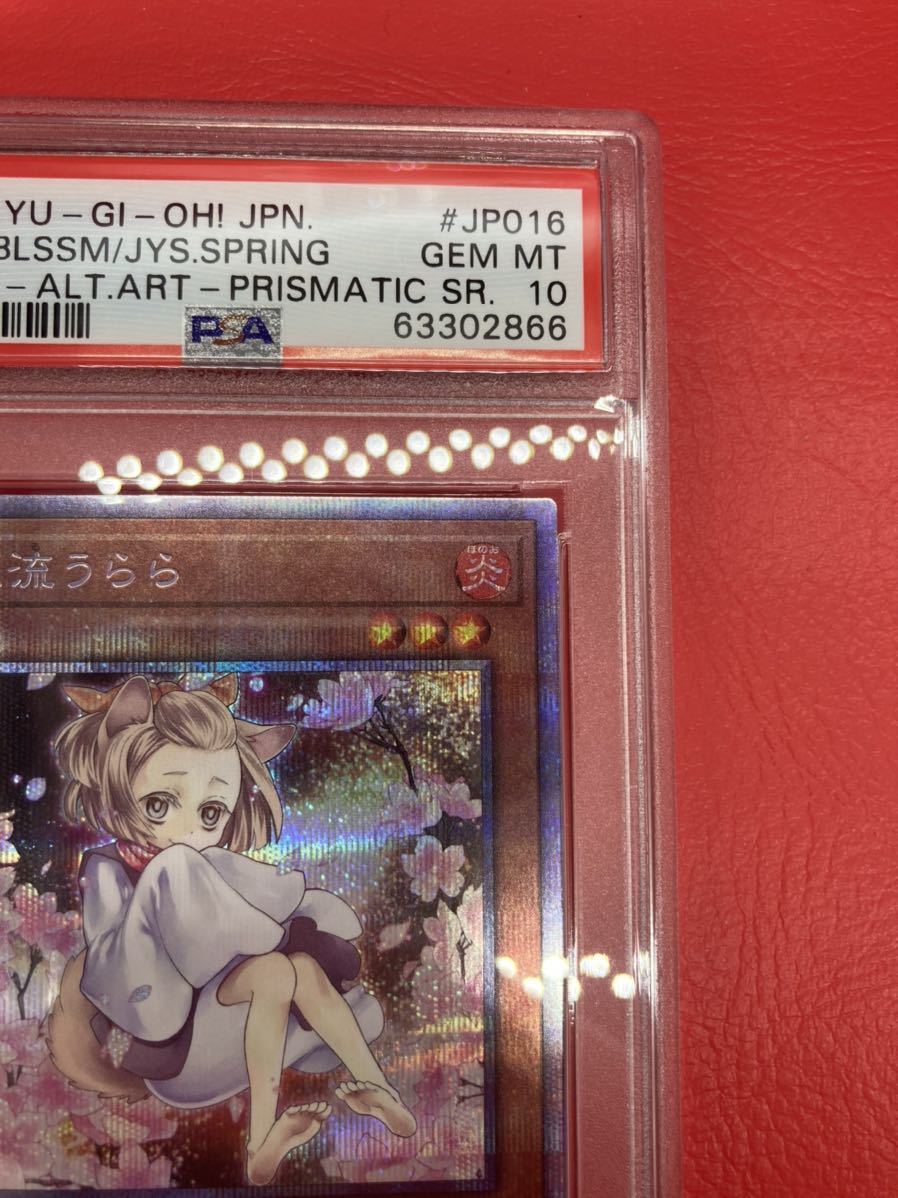 PSA10 遊戯王OCG 灰流うらら 絵違い プリズマ 【公式通販】