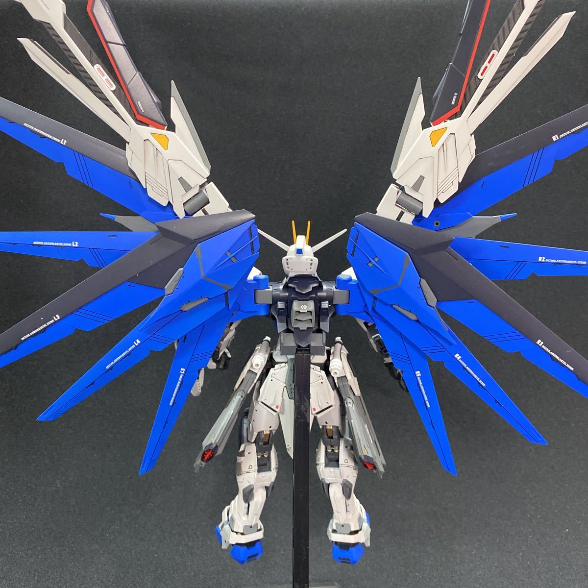 MG フリーダムガンダム 機動戦士ガンダムSEED FREEDOM Ver.2.0 完成品