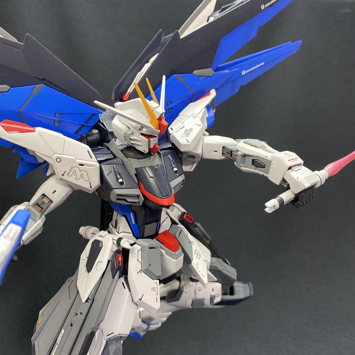 MG フリーダムガンダム 機動戦士ガンダムSEED FREEDOM Ver.2.0 完成品