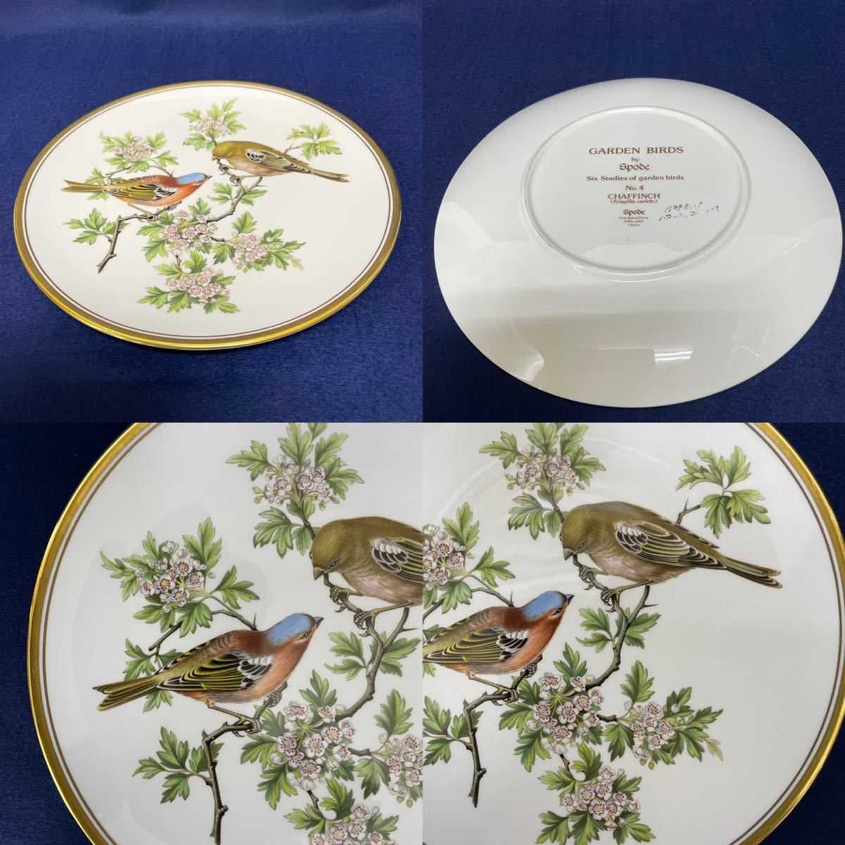 希少 英国ヴィンテージ スポード Spode ガーデンバード チャフィンチ 