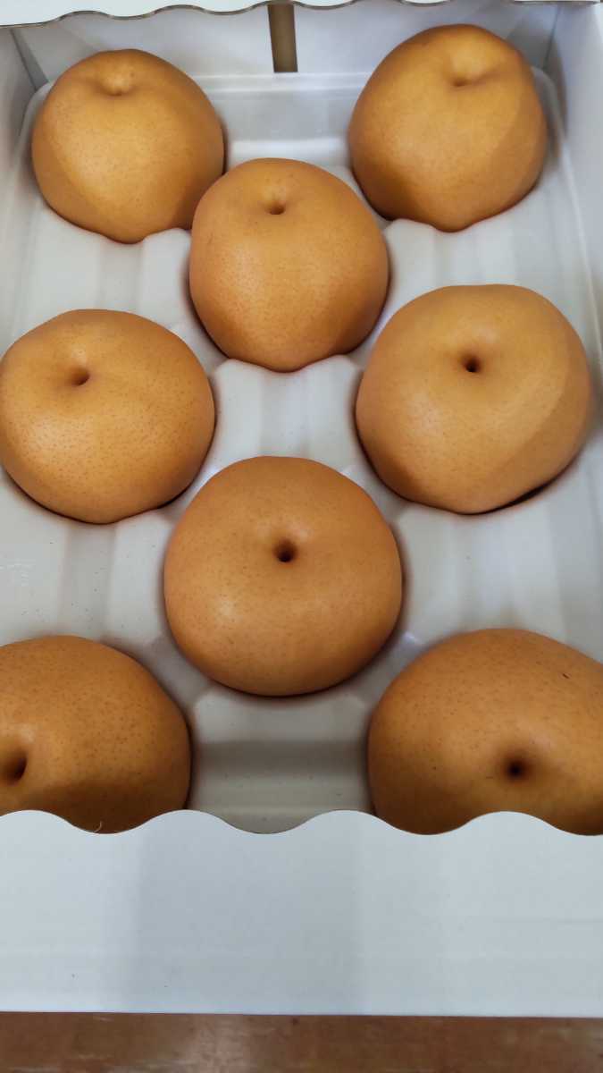 福岡県 愛宕梨が入荷しました 甘さ抜群 梨 売買されたオークション情報 Yahooの商品情報をアーカイブ公開 オークファン Aucfan Com