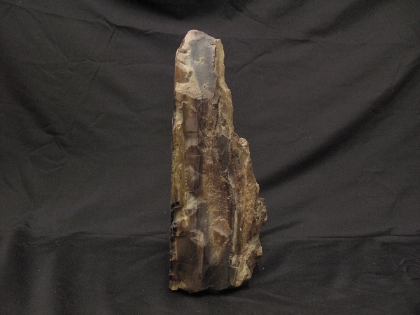 瑪瑙化 珪化木 重量4．4kg(117）台付 木化石 鑑賞石 珪質化 珪酸