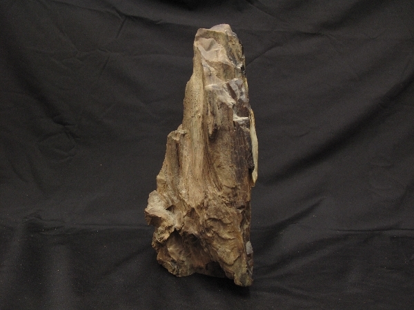 瑪瑙化 珪化木 重量4．4kg(117）台付 木化石 鑑賞石 珪質化 珪酸