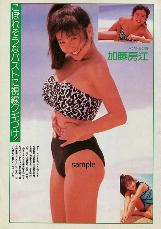 かとうれいこ 切り抜き32P 星野麗子(アイドル、芸能人)｜売買された