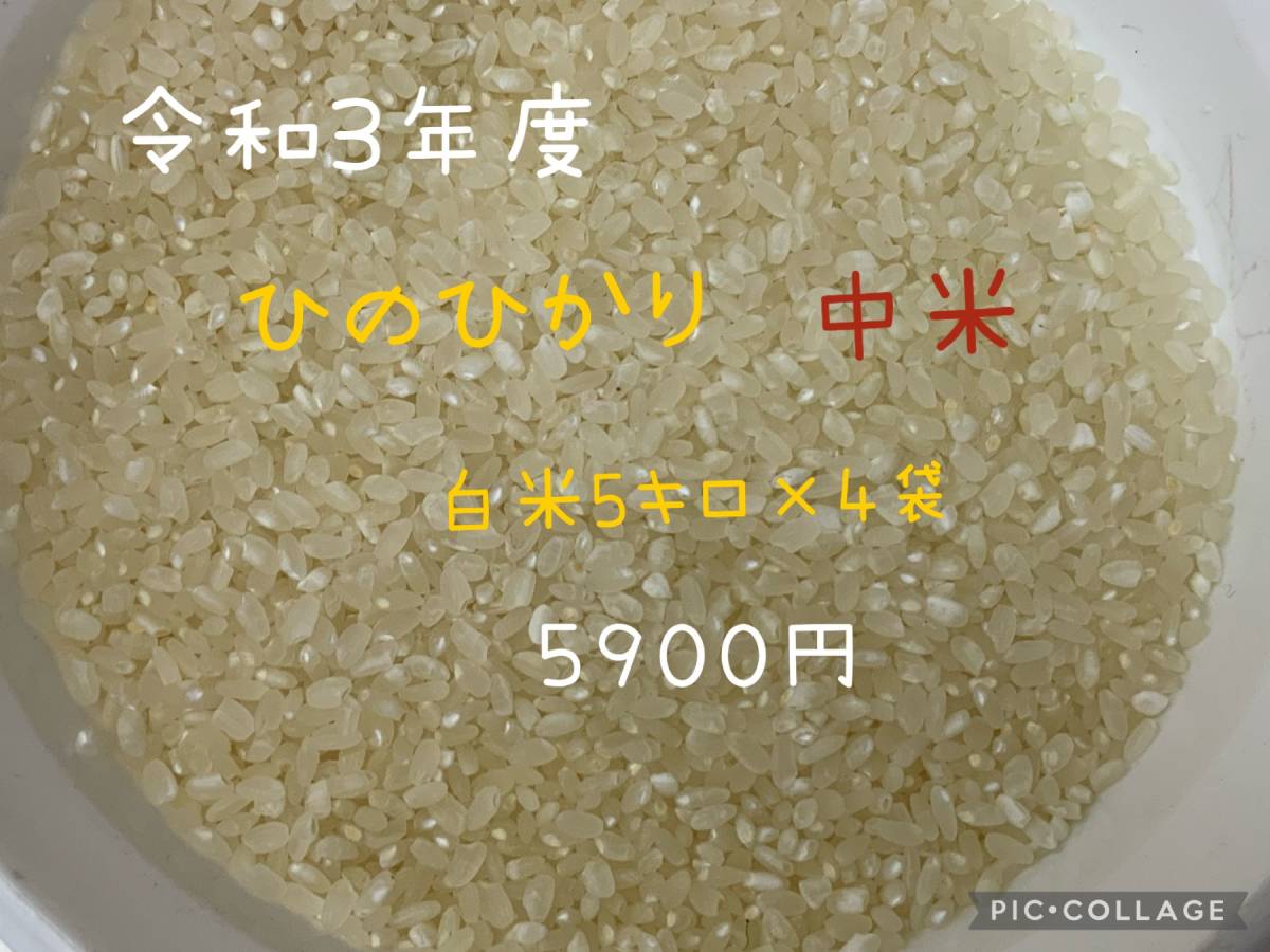 ヒノヒカリ 白米 20キロ ひのひかり ☆令和 大分県産 令和3年度産 20Kg 