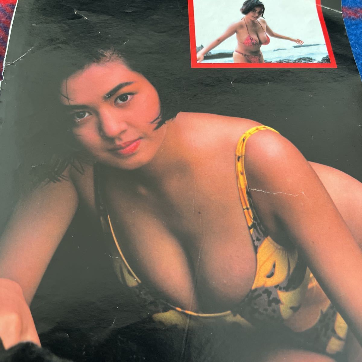 田島都 細川ふみえ 水着 グラビア 切り抜き 田島都 細川ふみえ タレント 売買されたオークション情報 Yahooの商品情報をアーカイブ公開 オークファン Aucfan Com