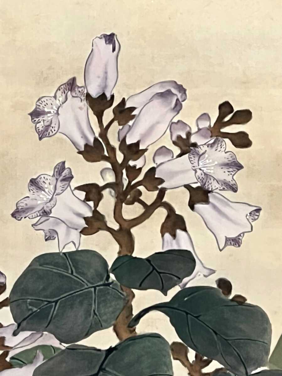 門八】□山本永暉□悟雪洞大機居士□［桐之花］□絹本□肉筆□合箱□花