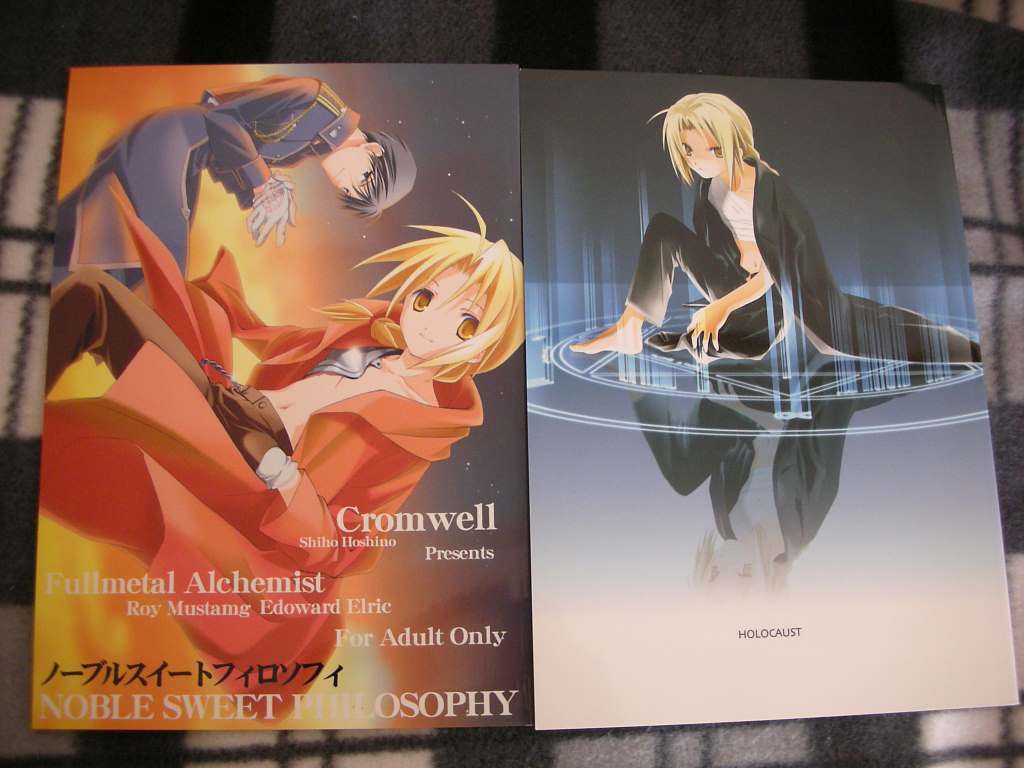 鋼の錬金術師 小説同人誌 ハガレン ロイ エドワード ロイエド 鋼錬 ５９冊セット 激安通販新作 ５９冊セット