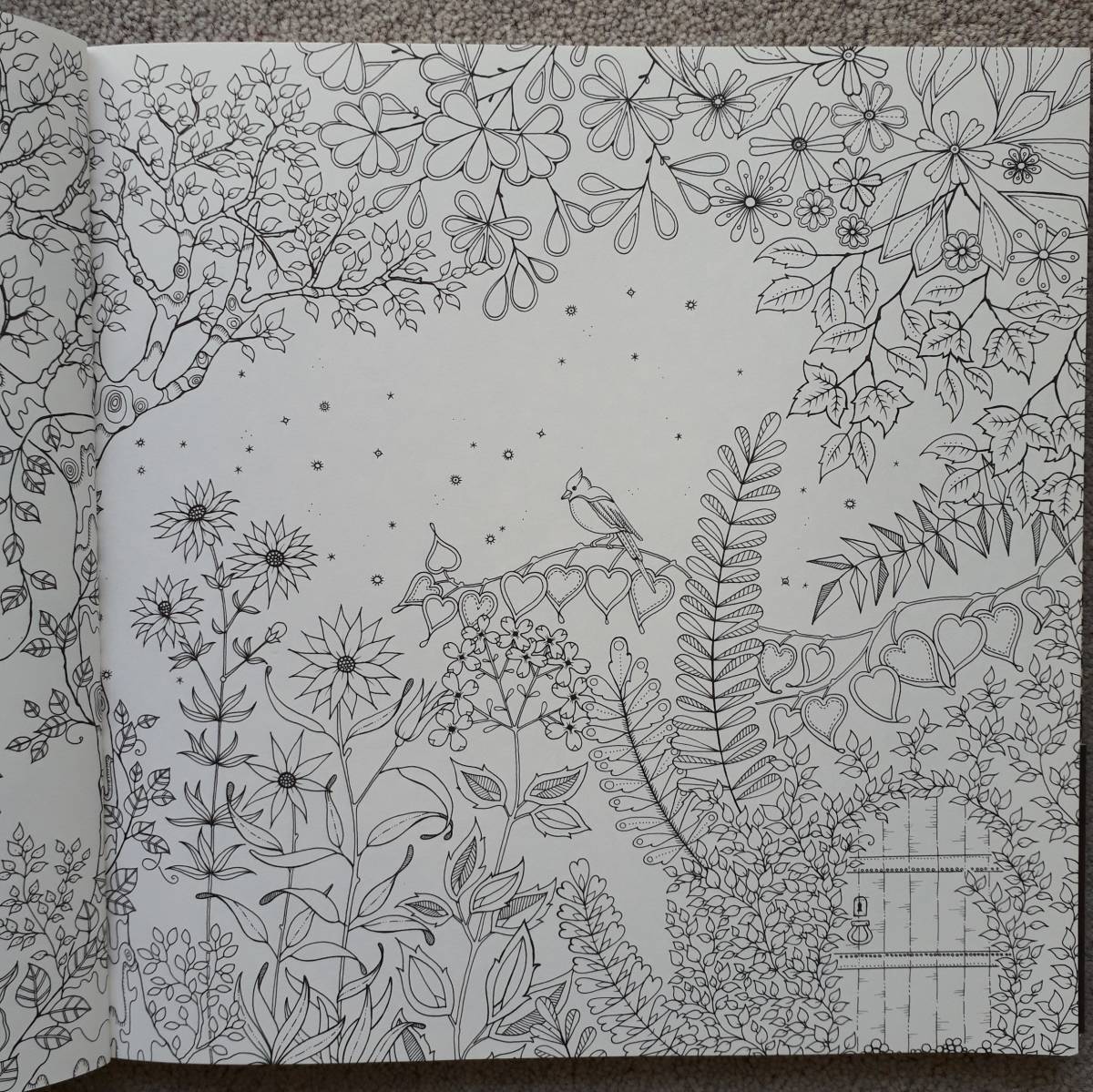 ジョハンナ バスフォード ひみつの花園 花いっぱいのぬりえブック その他 売買されたオークション情報 Yahooの商品情報をアーカイブ公開 オークファン Aucfan Com