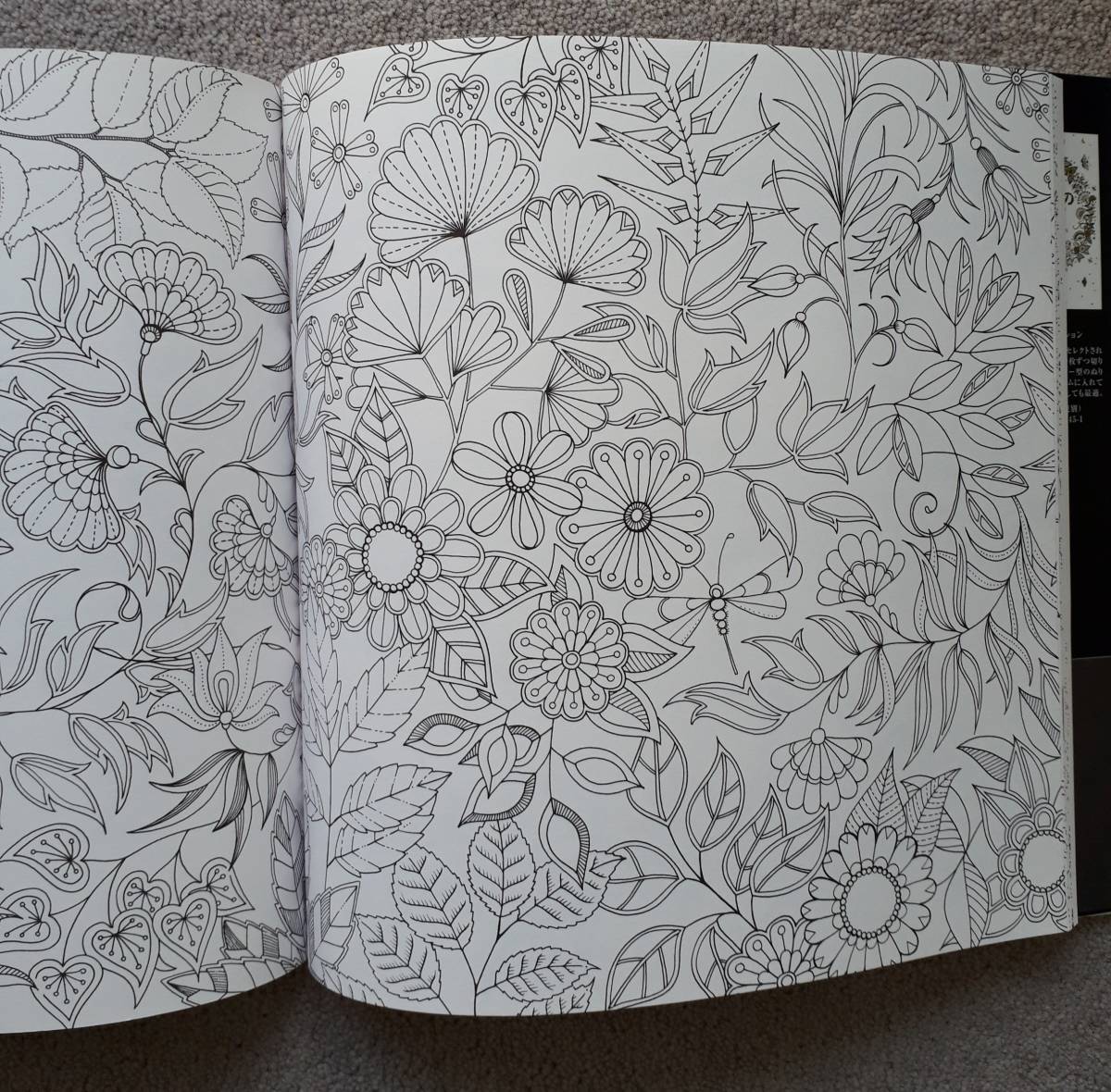 ジョハンナ バスフォード ひみつの花園 花いっぱいのぬりえブック その他 売買されたオークション情報 Yahooの商品情報をアーカイブ公開 オークファン Aucfan Com