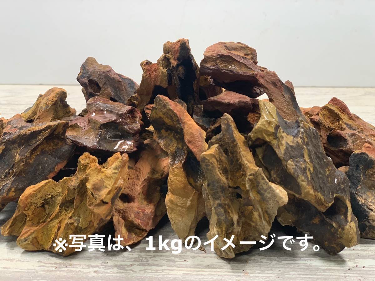 ミニ気孔石 １kgセット 940円スタート 自然石 レイアウト石 水槽 アクアリウム 苔テラリウム 水槽装飾品 売買されたオークション情報 Yahooの商品情報をアーカイブ公開 オークファン Aucfan Com