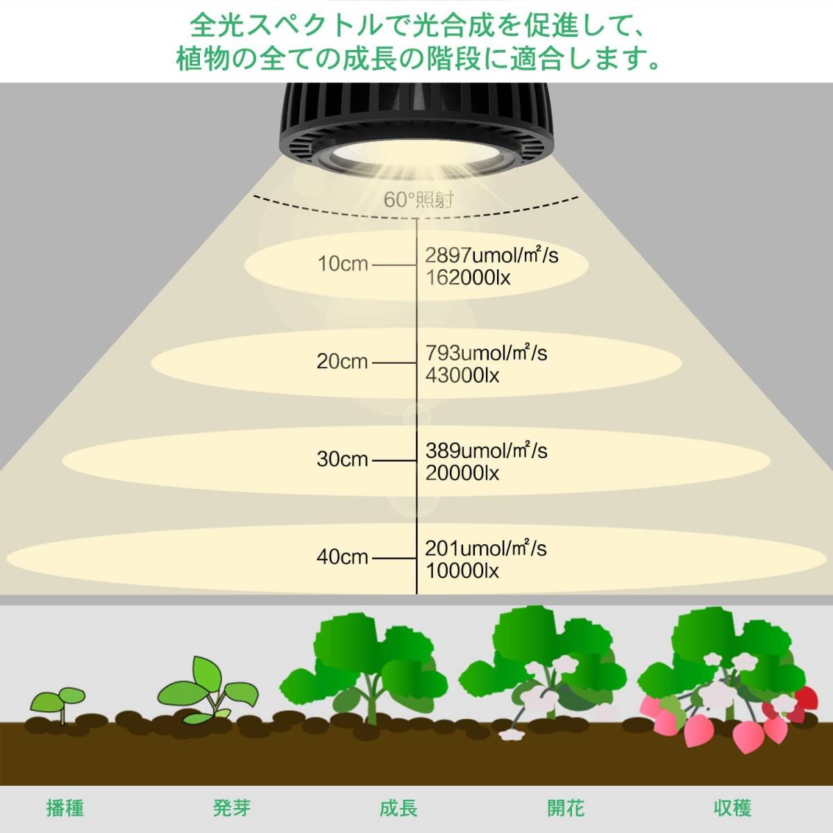 MORSEN LED植物育成ライト 100W相当 太陽のような自然光 COBチップ