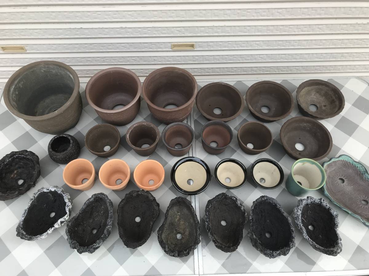 国華園オンラインショップ まめ盆栽鉢 匠 7種 （1箱4～6個入り ⁄ LIFE