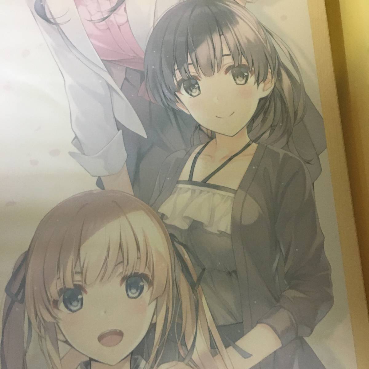 □冴えない彼女の育てかた 深崎暮人 描き下ろし ロングタペストリー 