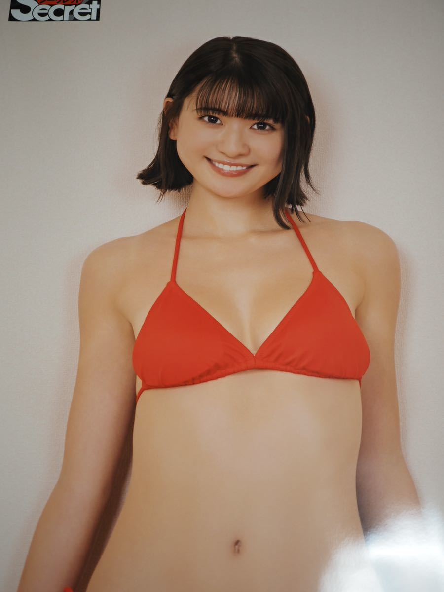山田南実 等身大ポスター : アサ芸シークレット - アサ芸Secret! Vol