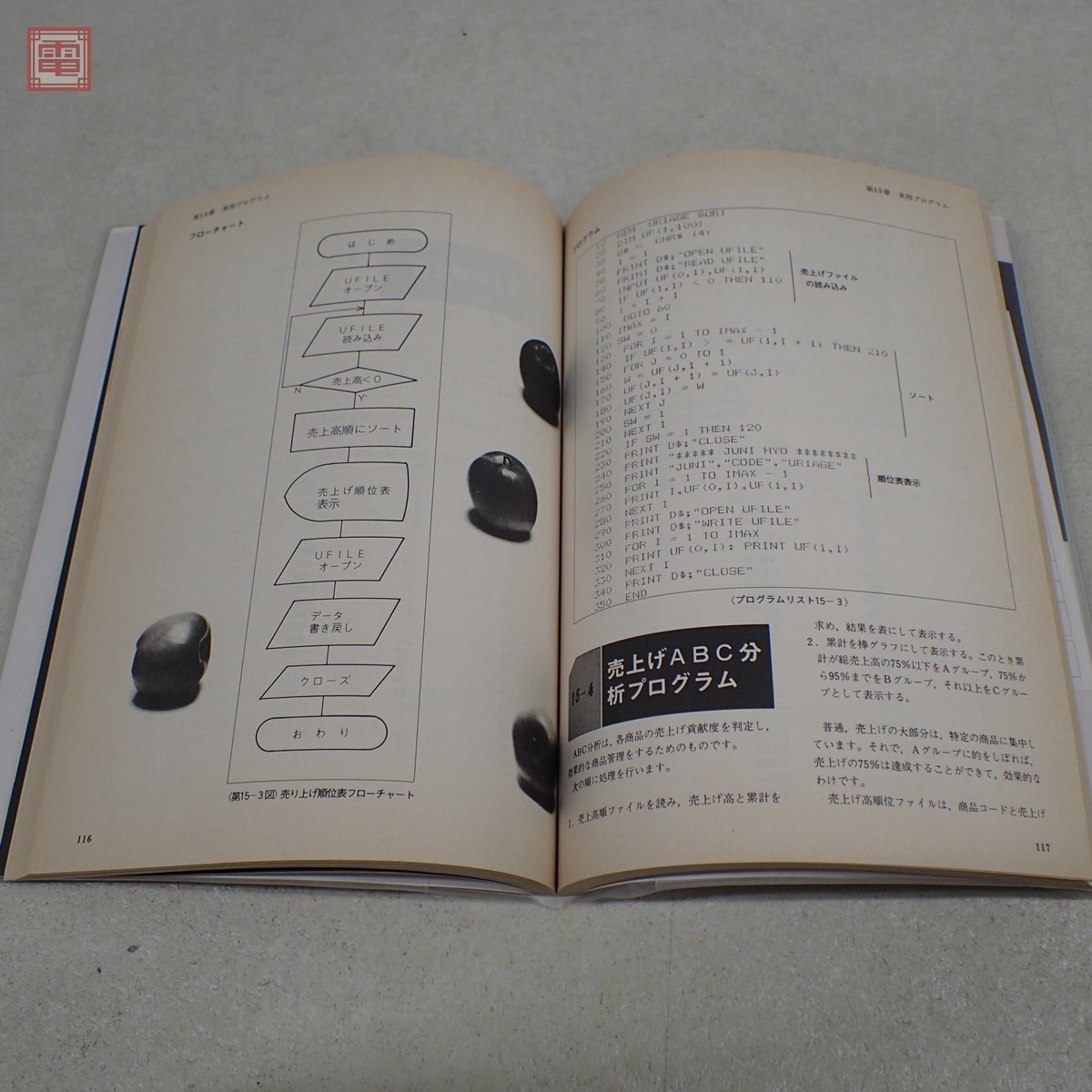 雑誌 月刊マイコン別冊 APPLE DOS入門 1983年 Apple 希少 【公式