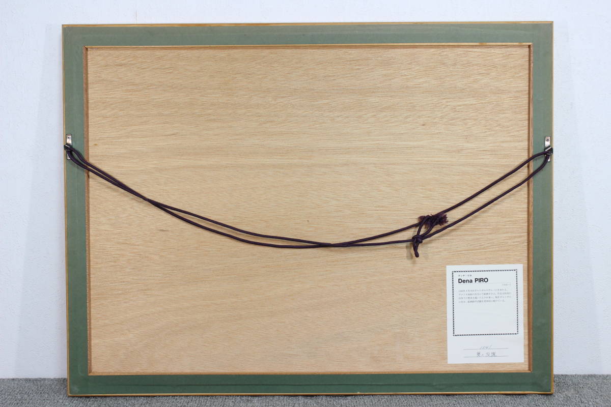 ディピロナ錠 FURP リーフレット