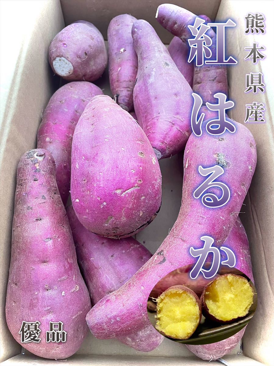大津町産べにはるか10k 特売！熊本県産 大津 べにはるか 紅はるか サイズ指定無し 10kg(送料