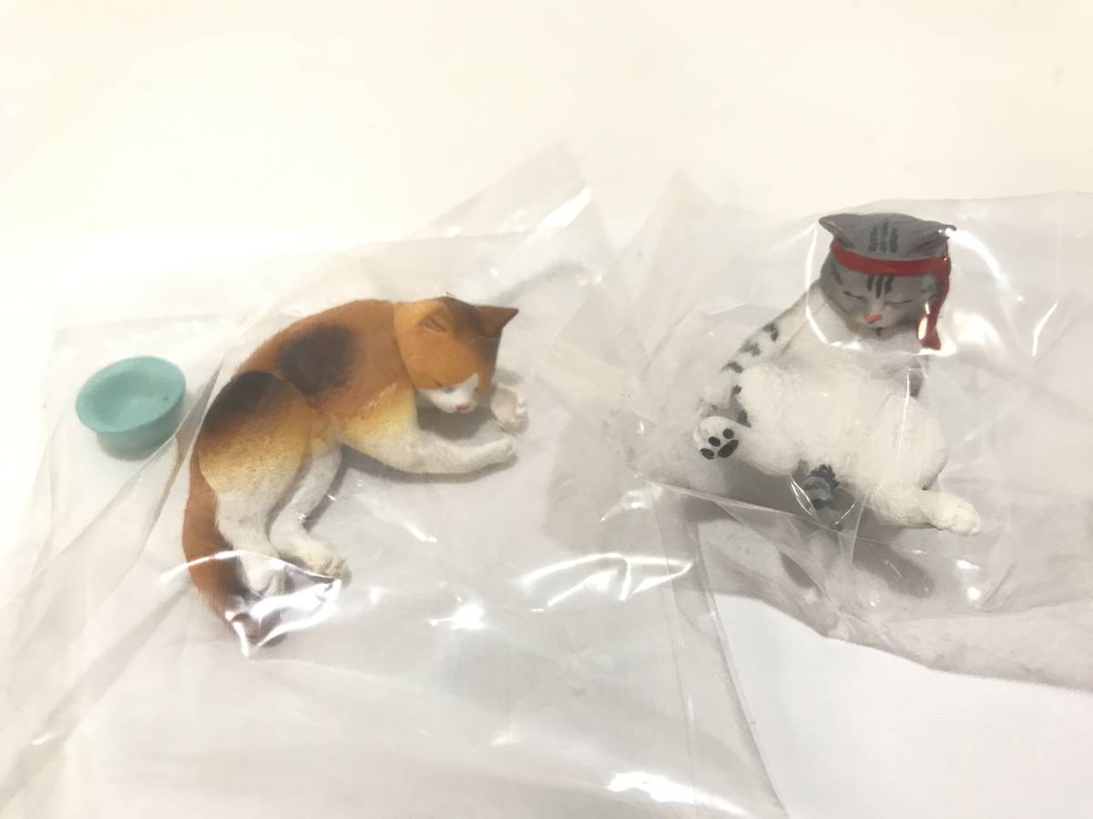 アフター5の動物たち またみんな 飲みましょう 全5種 生き物 売買されたオークション情報 Yahooの商品情報をアーカイブ公開 オークファン Aucfan Com