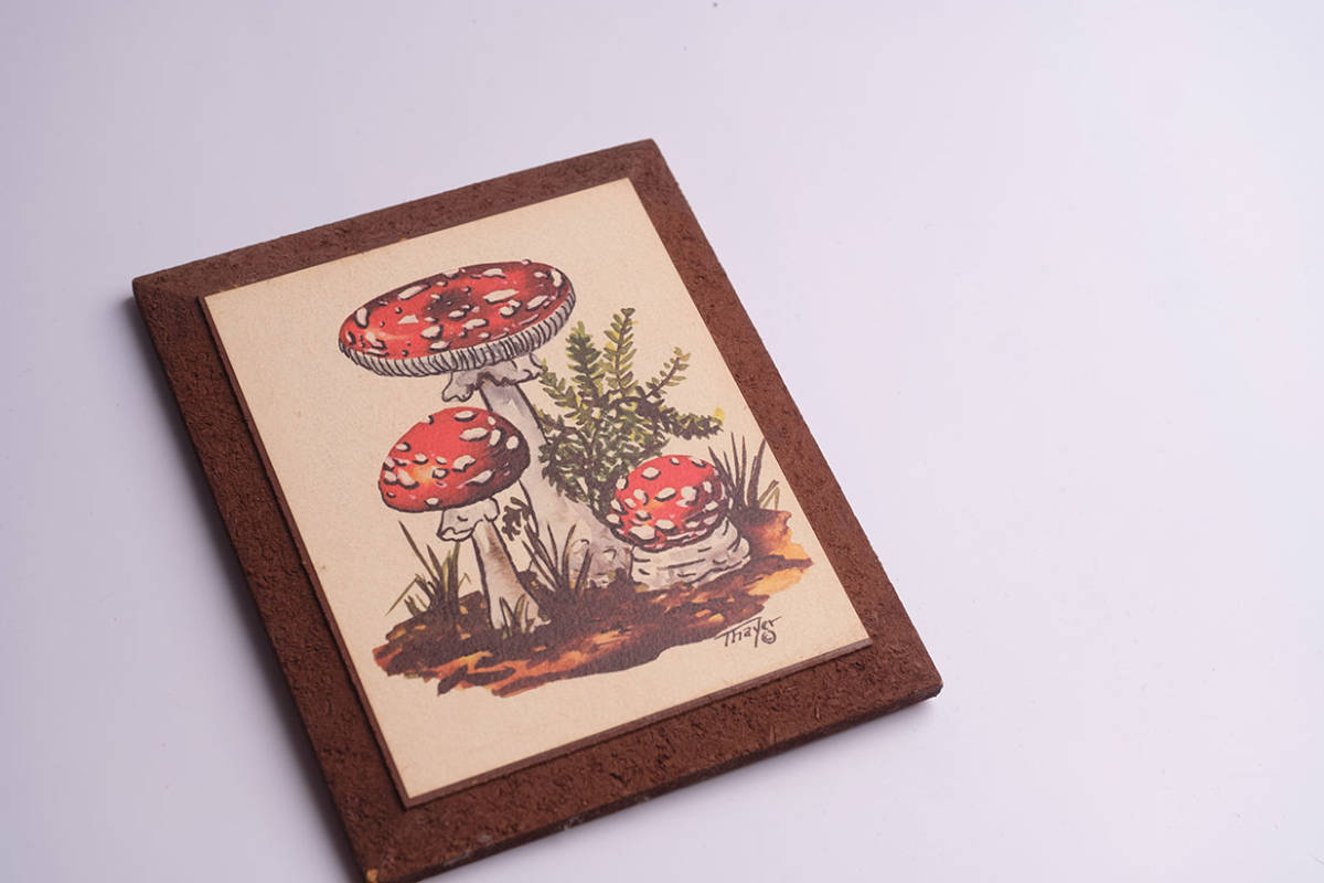 レトロ アンティーク かわいいきのこのイラストの壁掛け2枚組 70年代 雑貨 売買されたオークション情報 Yahooの商品情報をアーカイブ公開 オークファン Aucfan Com