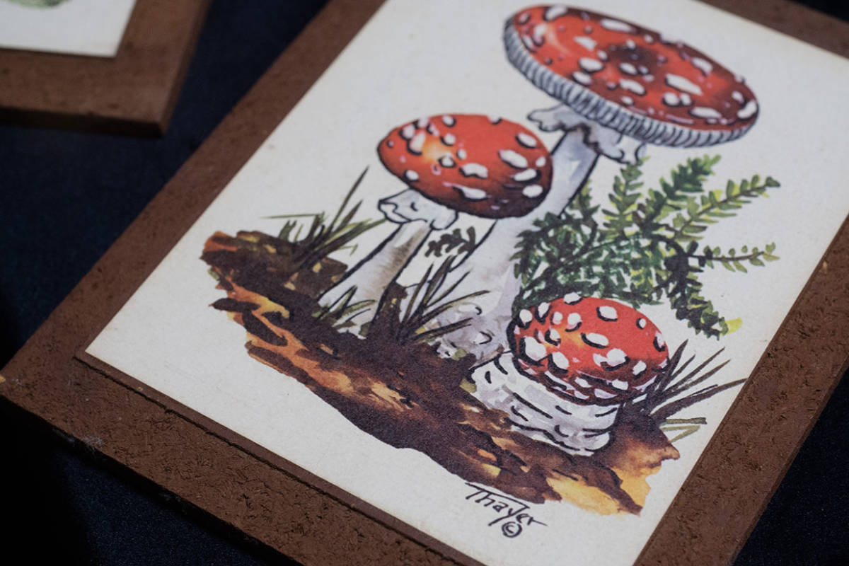 レトロ アンティーク かわいいきのこのイラストの壁掛け2枚組 70年代 雑貨 売買されたオークション情報 Yahooの商品情報をアーカイブ公開 オークファン Aucfan Com