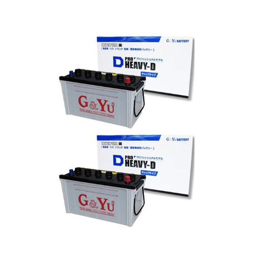 大人気，安い HD-170F51 2個セット G&Yu バス トラック 船舶用バッテリー PRO HEAVY-D キャップ 代引/配達時間指定/沖縄離島配送/同梱 NG(その他)｜売買されたオークション情報、yahooの商品情報をアーカイブ公 その他