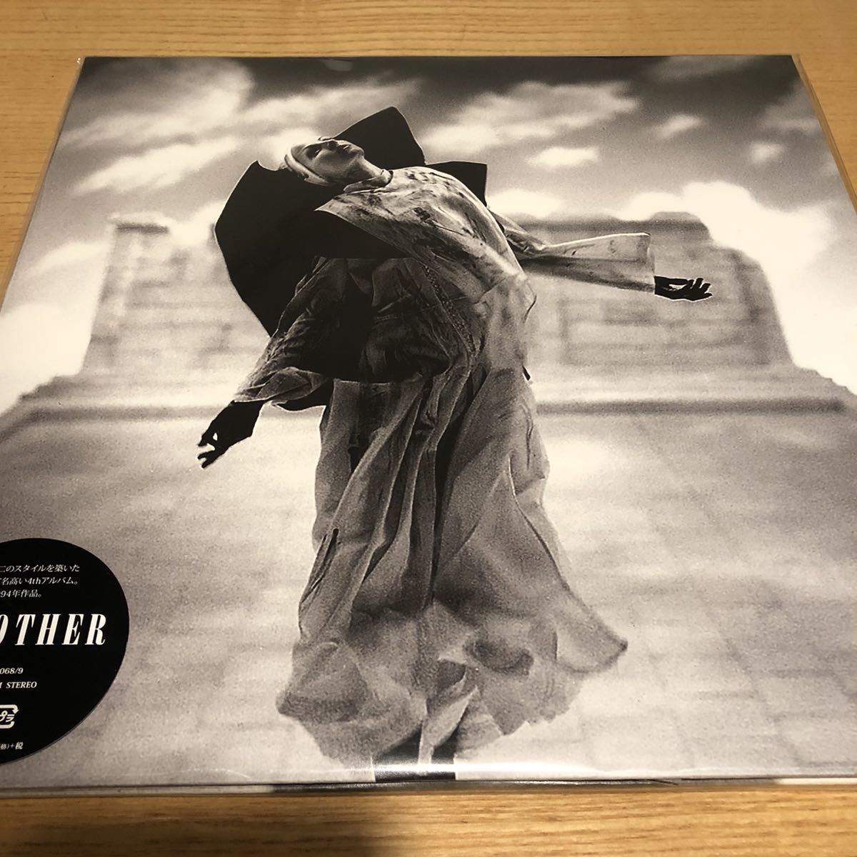 安い，大人気 LUNA SEA MOTHER LP(その他)｜売買されたオークション情報、yahooの商品情報をアーカイブ公開 - オークファン ら行