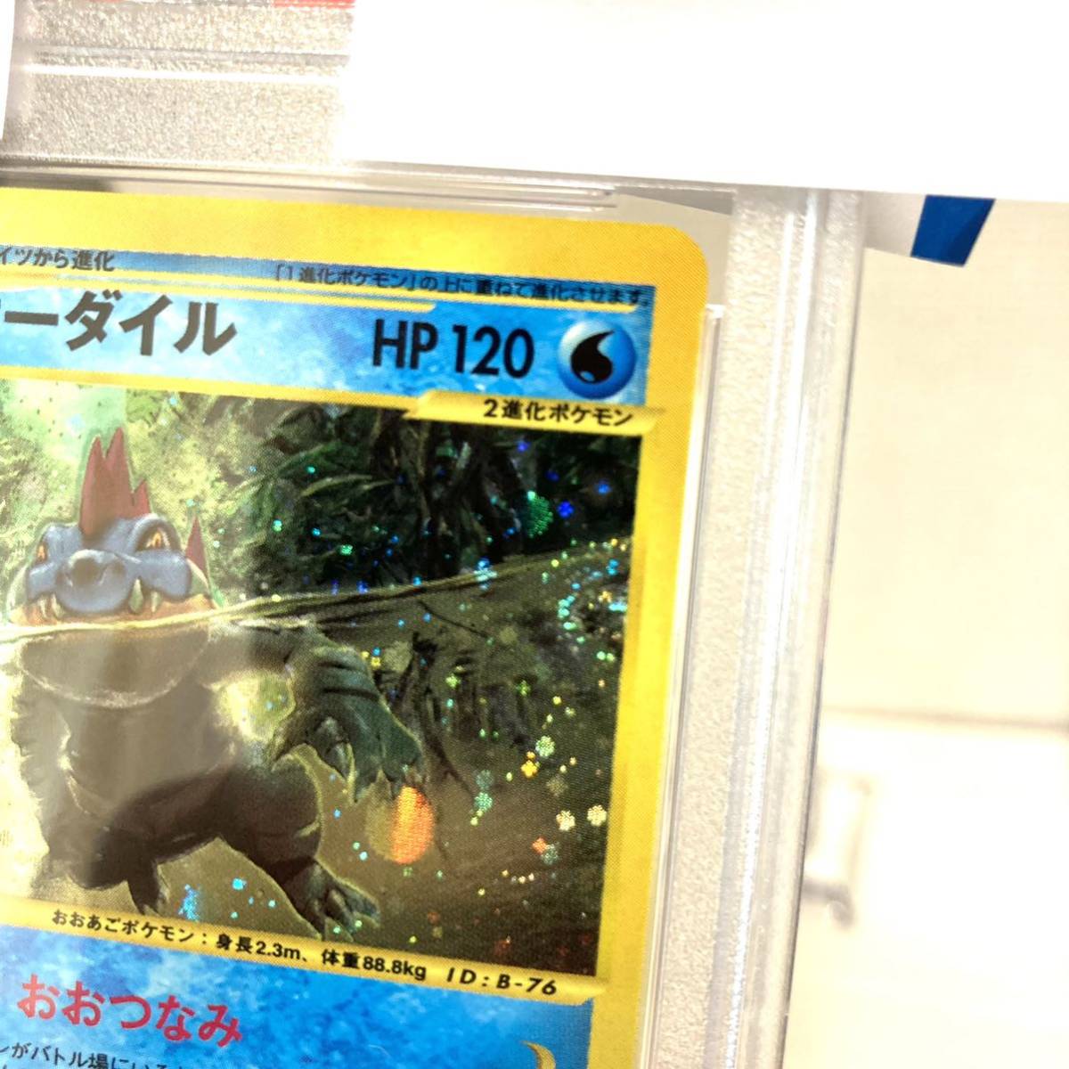 PSA10 オーダイル 拡張パック カードe 1st 1ed ポケモン ポケモン 