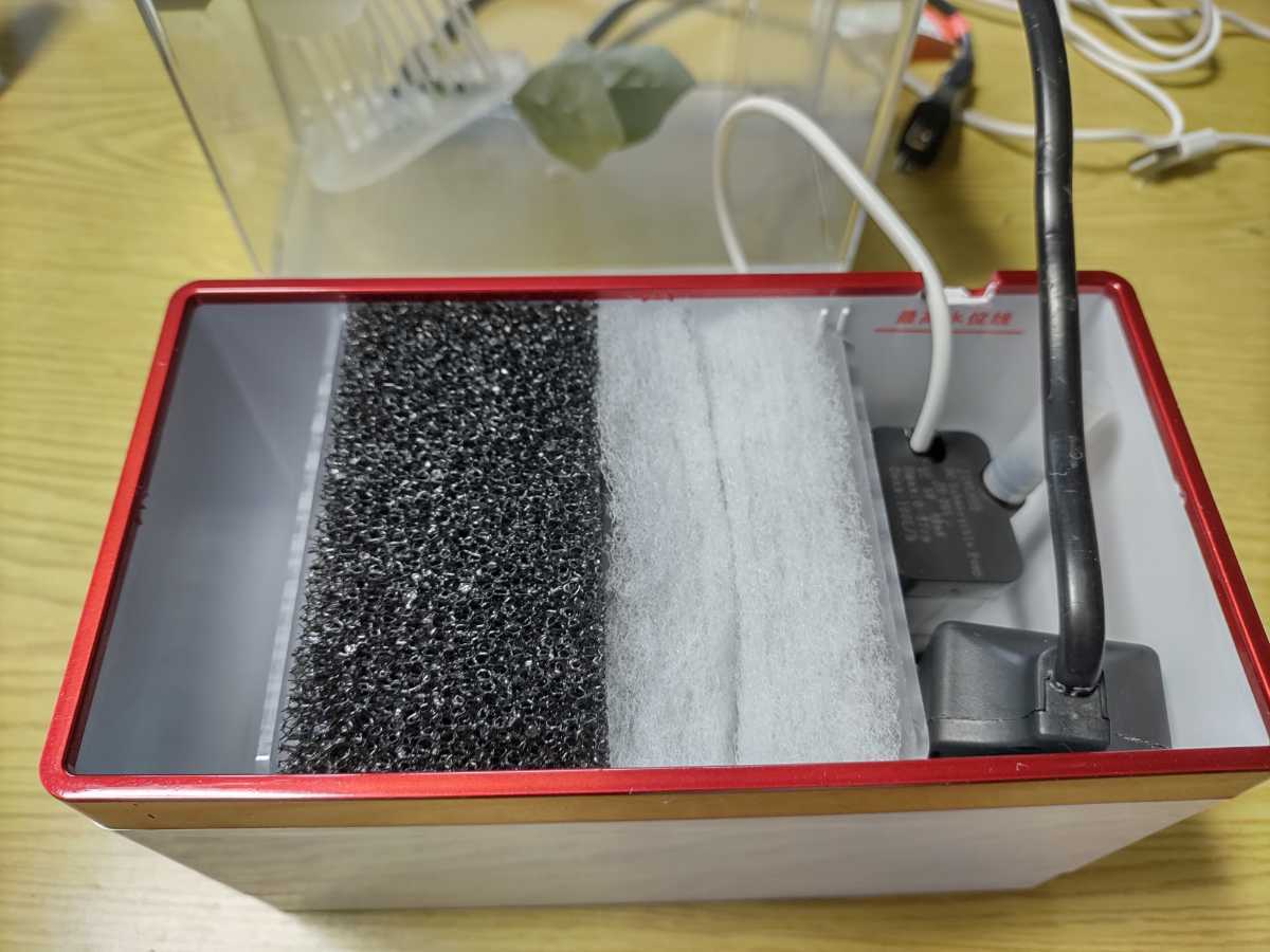 生麦海水魚センター -アクリルオーバーフロー水槽の 入荷情報ブログ 