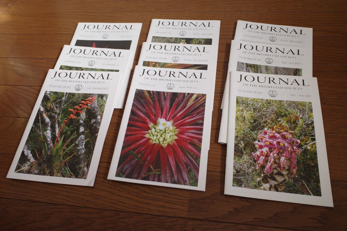 人気SALE，お買い得 Bromeliad Society Journal(アナナス)｜売買されたオークション情報、yahooの商品情報をアーカイブ公開 - オークファン アナナス