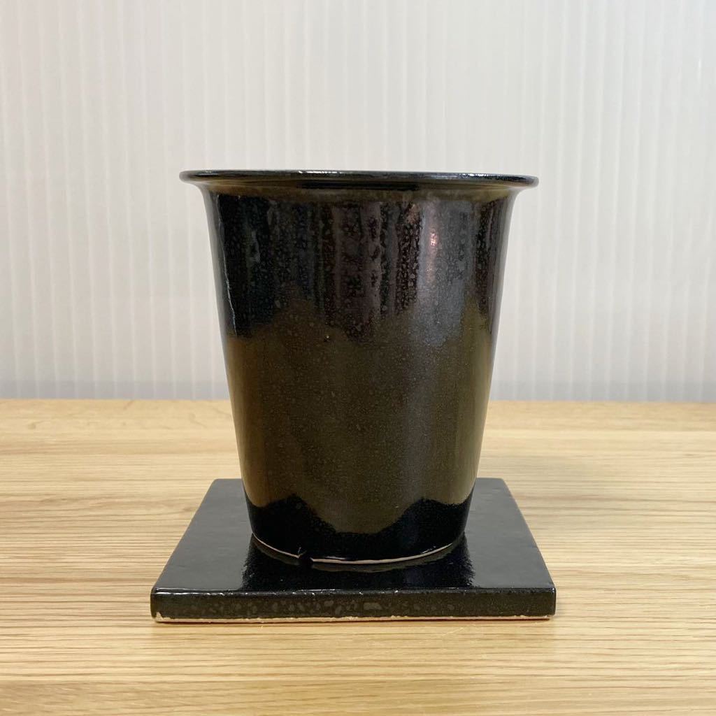 得価，豊富な 鉢 細川政己 ( invisible ink botanize タケロウ カタチ