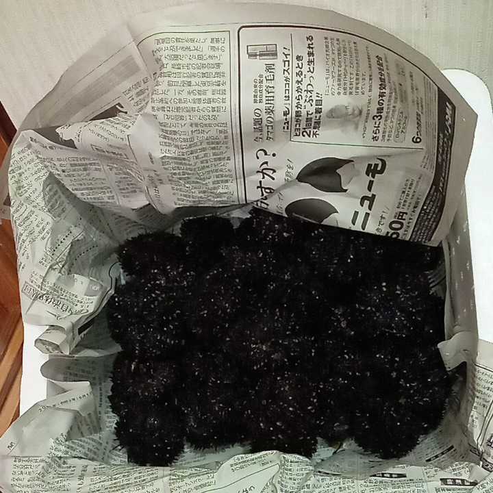 ウニ ガンガゼウニ ケン無し 冷凍 エサ 40個 エサ イシダイ クチジロ カンダイ釣り餌 石鯛 オススメ お得 爆釣 激安 冷凍餌 売買されたオークション情報 Yahooの商品情報をアーカイブ公開 オークファン Aucfan Com