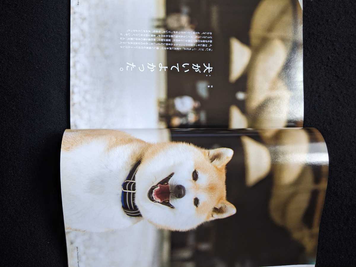 ブルータス 犬 ビートたけし 氷川きよし 高橋尚子 般若 愛犬 写真 柴犬のルーツ 島根 小説 グッズ アンチエイジング シール モノ トレンド情報 売買されたオークション情報 Yahooの商品情報をアーカイブ公開 オークファン Aucfan Com