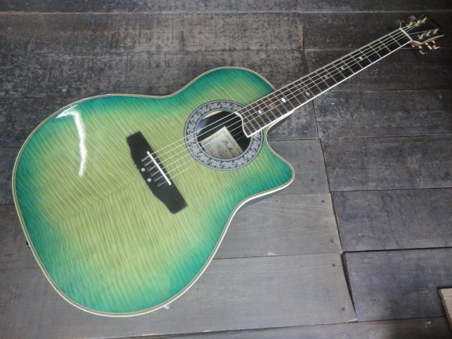 ジャンク レアカラー Pro Martin CUSTOM エレアコ EA 450BLS グリーン 