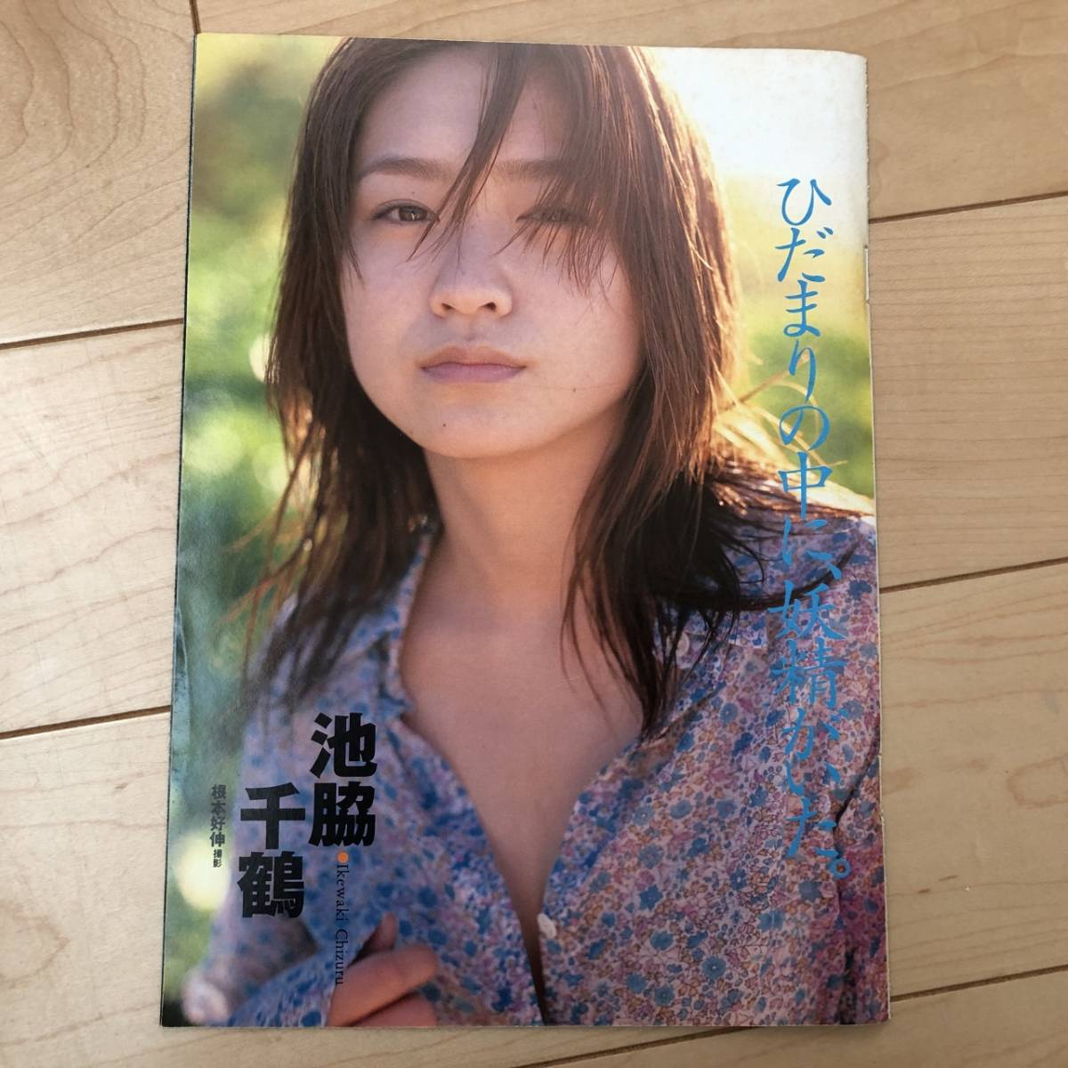池脇千鶴 ひだまりの中に 宮崎あおい グラビア 雑誌 切り抜き 15p タレント 売買されたオークション情報 Yahooの商品情報をアーカイブ公開 オークファン Aucfan Com