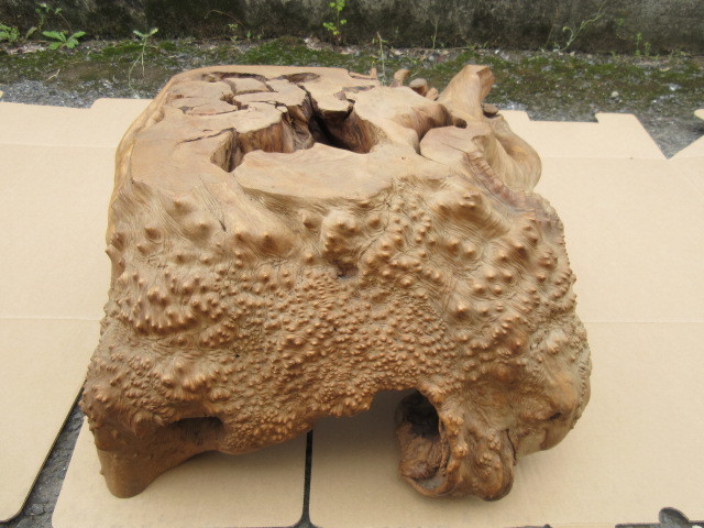 木の根 オブジェ 天然木 花台 盆栽台 物置台 中古品