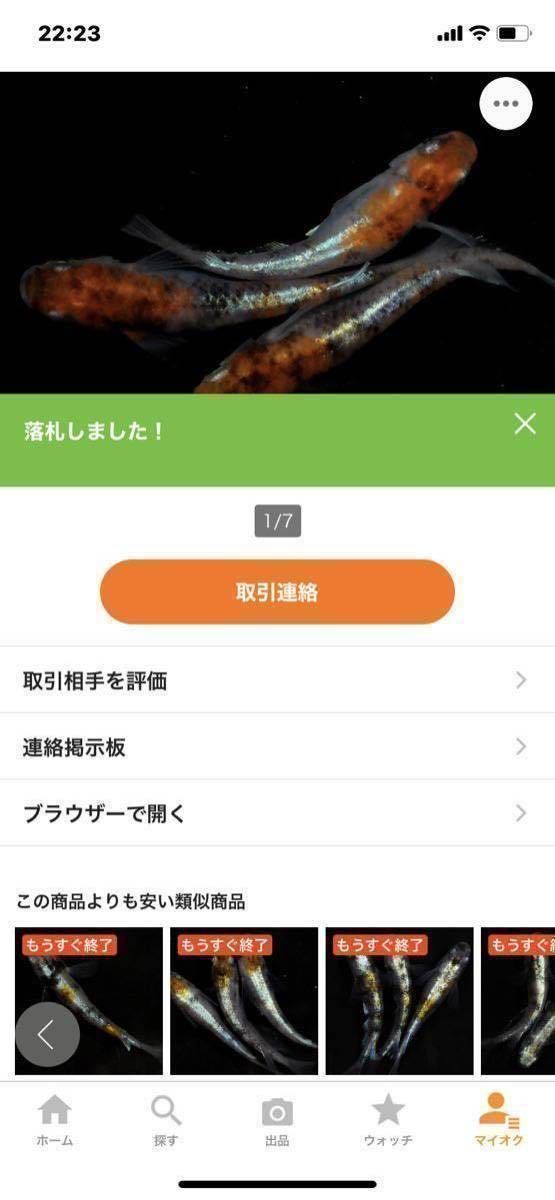 x1052017286.5