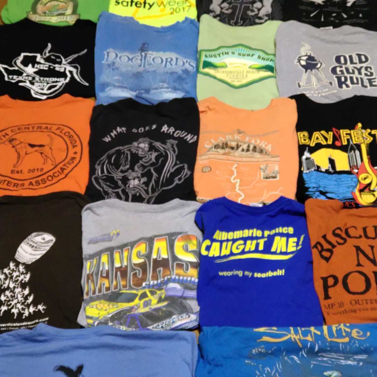  H43 卸 まとめ売り 業販 大量 L 18枚 セット バックプリント Tシャツ TEE ヴィンテージ スポーツ カレッジ アメリカ ベール 古着 00s 90s(イラスト、キャラクター)｜売買されたオークション情報、y Lサイズ
