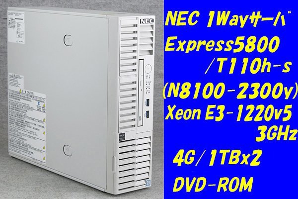 O○NEC○Express5800/T110h-S(N8100-2300Y)○Xeon E3-1220 v5(3GHz)/4G